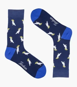 Cocky