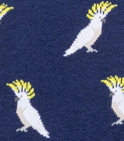 Cocky