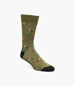 Toucan